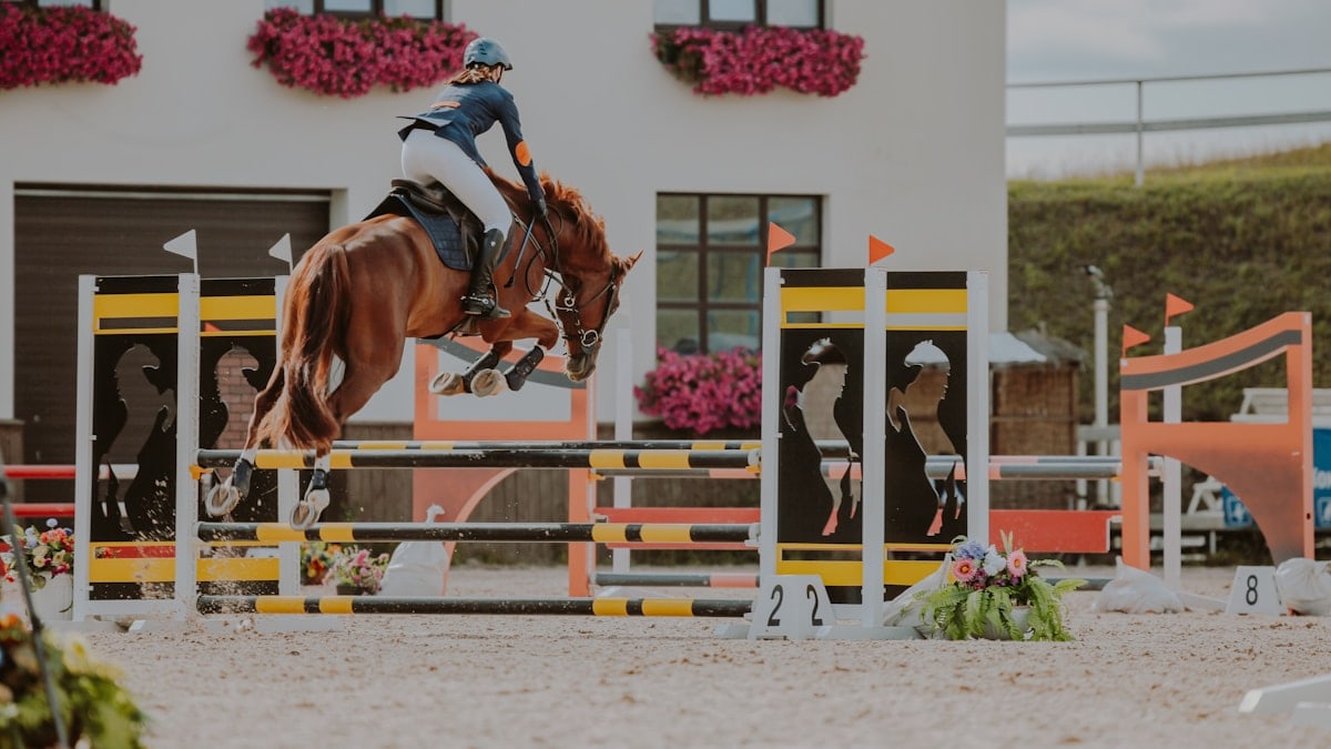 Showjumping